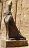 le dieu faucon Horus
